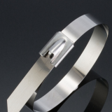 Stainless steel cable ties