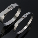 Stainless steel cable ties